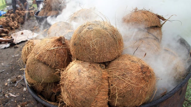 Limbah Batok Kelapa yang Bernilai Tinggi